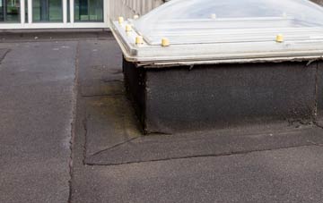 disadvantages of Lower Holwell flat roofs