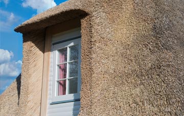 Lower Holwell thatch roof disadvantages