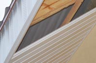 rated Lower Holwell soffit repair companies